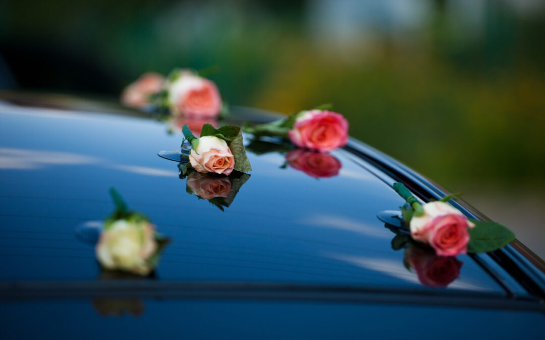 Agenzia Funebre Meda La Medese